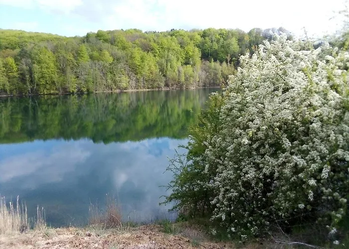 Chalet Pod Swierkiem *